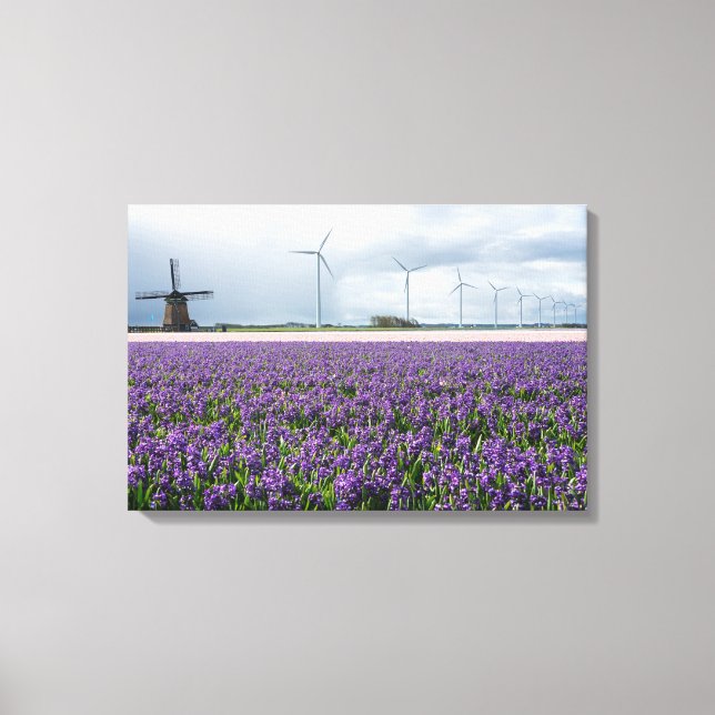 Traditionell och modern kvarn i Holland canvas (Framsida)
