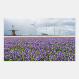 Traditionell och modern kvarn i Holland Rektangulärt Klistermärke