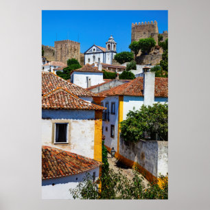 Traditionella röda takhus Portugal Poster