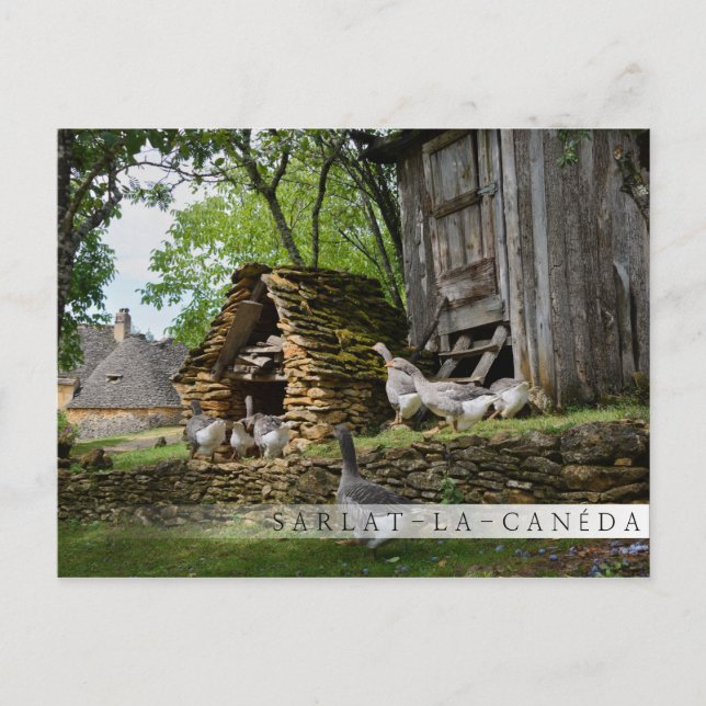 Traditionellt vykort för foie gras goose farm pub (Framsida)