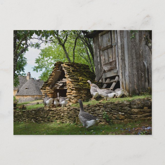 Traditionellt vykort för foie gras goose-servering (Framsida)