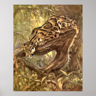 Trädleopard av CE Swan, Vintage vilda djur Poster