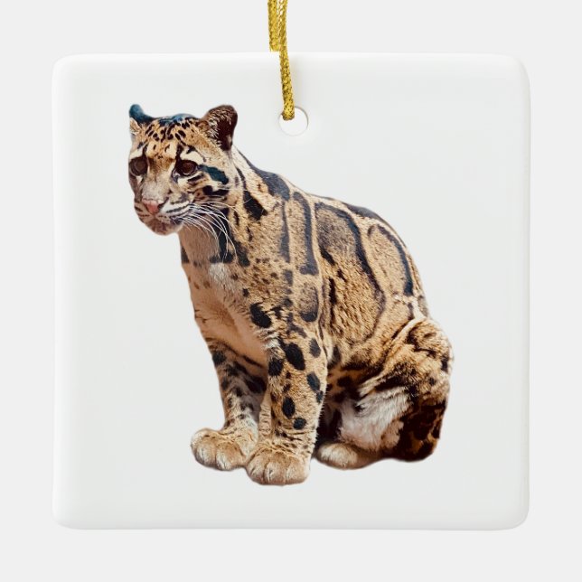 trädleopard fotografi djungel stor katt djur   julgransprydnad keramik (Framsida)