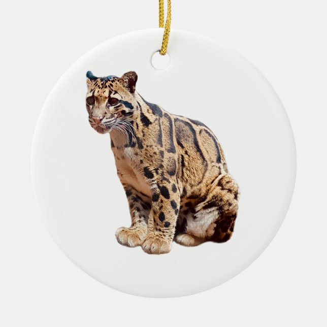 trädleopard fotografi djungel stor katt djur   julgransprydnad keramik (Framsidan)