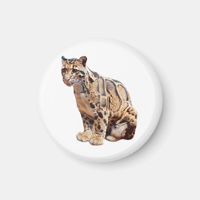 trädleopard fotografi djungel stor katt djur   magnet (Framsidan)