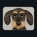Trådlöst Dachshund| Cute Tecknad hund Teckel Magnet<br><div class="desc">En roligt köksmagnet för vajade Dachshund älskare. Vild och brunt färgad Teckel. Besök Jenns Doodle World för ännu fler tillbehör till hem och kontor med denna rolig hund och mer originella avlyssnare hund design.</div>