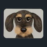 Trådlöst Dachshund| Cute Tecknad hund Teckel Magnet<br><div class="desc">En roligt köksmagnet för vajade Dachshund älskare. Vild och brunt färgad Teckel. Besök Jenns Doodle World för ännu fler tillbehör till hem och kontor med denna rolig hund och mer originella avlyssnare hund design.</div>