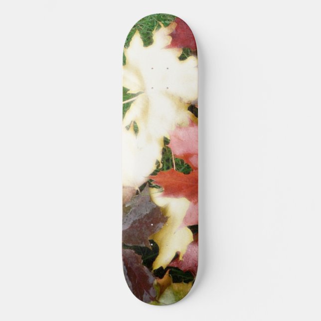 TRÄDLÖV SKATEBOARD BRÄDA 20 CM (Framsida)