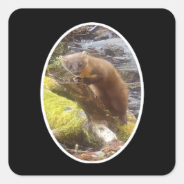 Trädmård Skogsfauna Illustration Skog Fyrkantigt Klistermärke