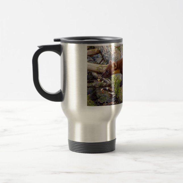 Trädmård Vildt Däggdjur Träd Stock Natur Fotografi Resemugg (Vänster)