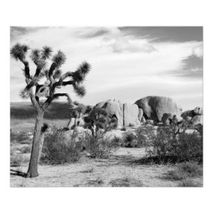 Trädnationalpark för B&W Joshua Fototryck