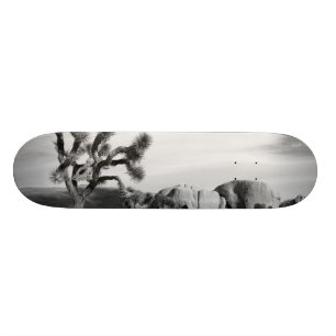 Trädnationalpark för B&W Joshua Mini Skateboard Bräda 18,7 Cm