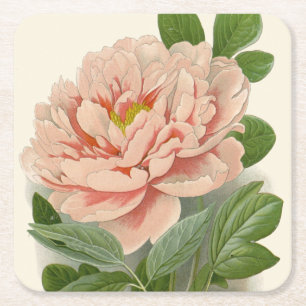Trädpeony – Elegant Vintage Botanisk Design Underlägg Papper Kvadrat
