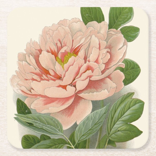 Trädpeony – Elegant Vintage Botanisk Design Underlägg Papper Kvadrat (Framsidan)