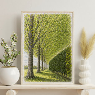 Trädplanterad gångväg Botanisk landskaps konst Poster