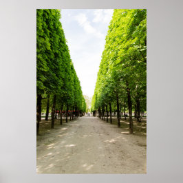 Trädplanterad gångväg poster