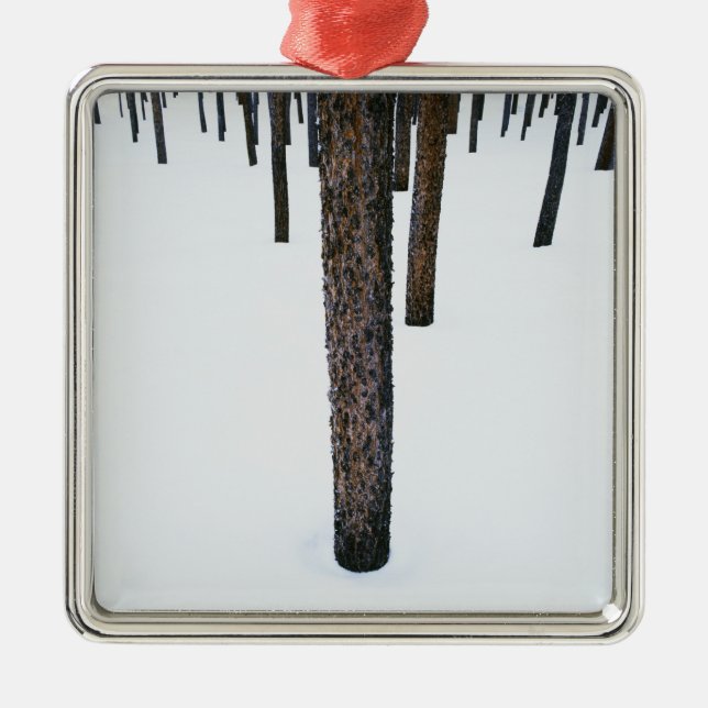 Trädstammar i snö julgransprydnad metall (Framsidan)