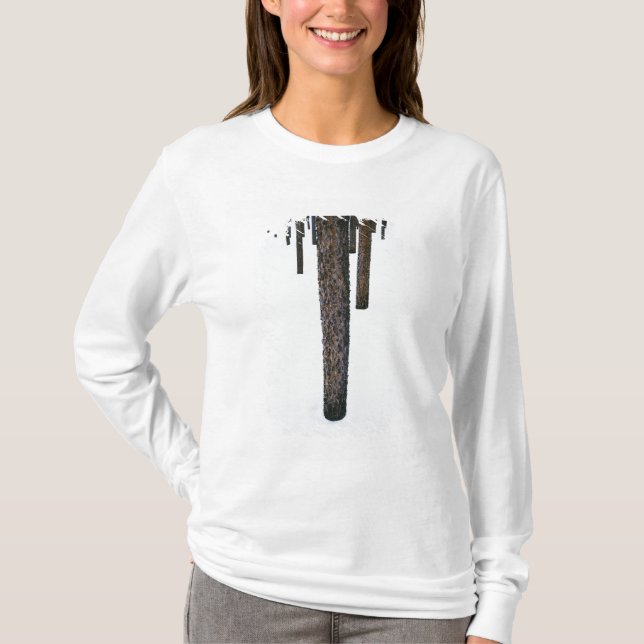 Trädstammar i snö tee shirt (Framsida)