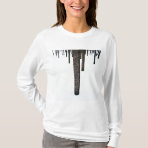 Trädstammar i snö tee shirt
