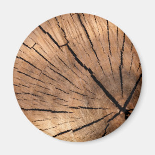 TRÄDSTUBBE MAGNET
