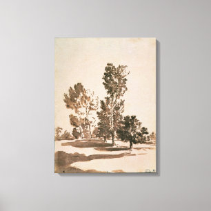 Trädstudie (skriva & bläck på papper), canvastryck