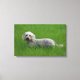 Trådstyrda standarddockor i Grass Canvastryck