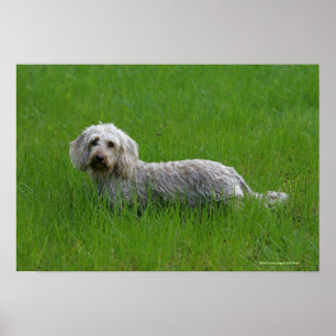 Trådstyrda standarddockor i Grass Poster