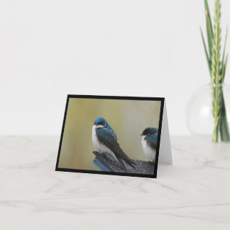 Trädsvalan noterar kortet (förbigå), kort