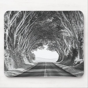 TrädTunnel Kauai Fotografi Svart och Vitt Musmatta