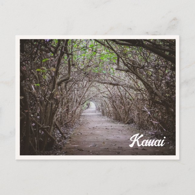 TrädTunnel Kauai Kaapa Foto Vykort (Framsida)