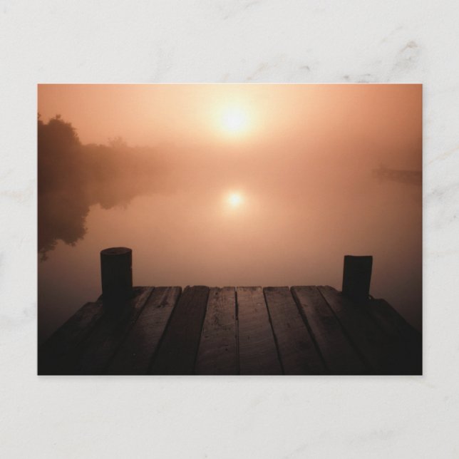 Träet Jetty på Sjö vid Sunset | New Orleans, LA Vykort (Framsida)