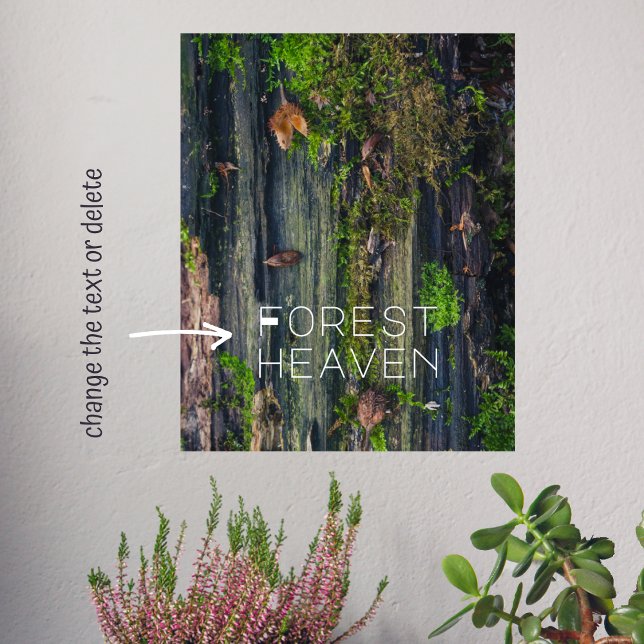 Träets liv poster (Skapare uppladdad)