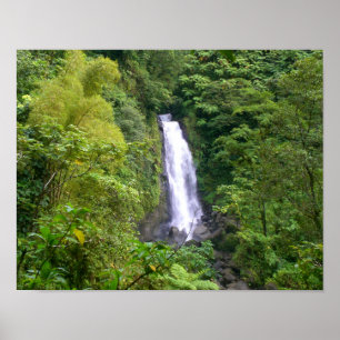 Trafalgar Falls, Dominica, Väster Indies Västindie Poster