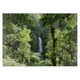 Trafalgar Falls Tropical Rainforest Photogratograp