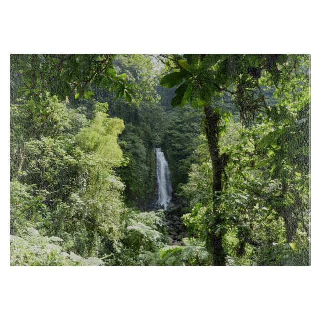 Trafalgar Falls Tropical Rainforest Photogratograp (Framsidan)