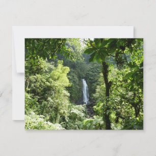 Trafalgar Falls Tropical Rainforest Photogratograp