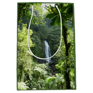 Trafalgar Falls Tropical Rainforest Photogratograp