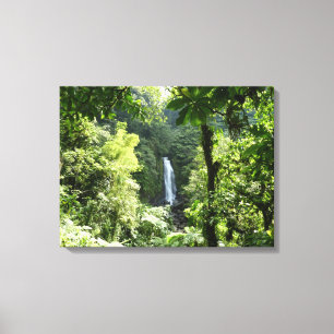 Trafalgar Falls Tropical Rainforest Photogratograp Canvastryck