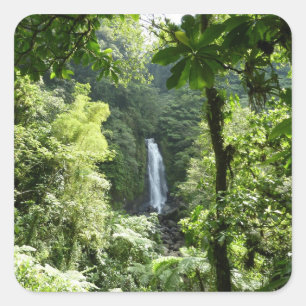 Trafalgar Falls Tropical Rainforest Photogratograp Fyrkantigt Klistermärke