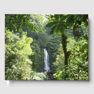 Trafalgar Falls Tropical Rainforest Photogratograp Gästböcker
