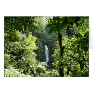 Trafalgar Falls Tropical Rainforest Photogratograp Hälsningskort