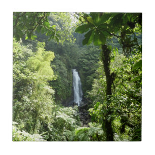 Trafalgar Falls Tropical Rainforest Photogratograp Kakelplatta