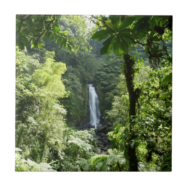 Trafalgar Falls Tropical Rainforest Photogratograp Kakelplatta (Framsidan)