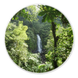 Trafalgar Falls Tropical Rainforest Photogratograp Knopp