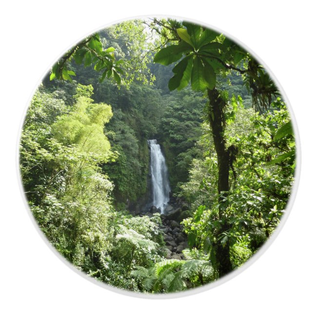 Trafalgar Falls Tropical Rainforest Photogratograp Knopp (Framsidan)