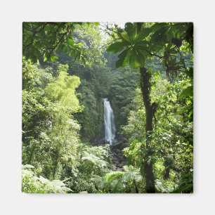 Trafalgar Falls Tropical Rainforest Photogratograp Magnet