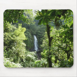 Trafalgar Falls Tropical Rainforest Photogratograp Musmatta