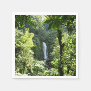 Trafalgar Falls Tropical Rainforest Photogratograp Pappersservett