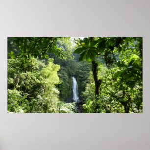 Trafalgar Falls Tropical Rainforest Photogratograp Poster
