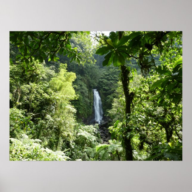 Trafalgar Falls Tropical Rainforest Photogratograp Poster (Framsidan)